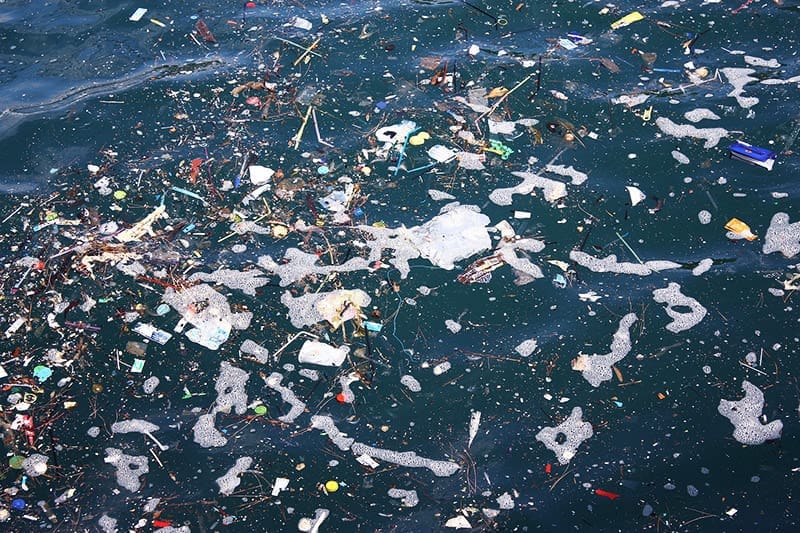 5 Easy Ways To Help The Environment: Everyone Can Make A Difference