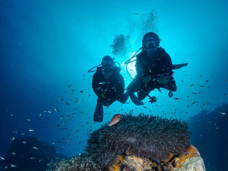 Why Scuba Dive? There Is More To Diving Than You Might Think