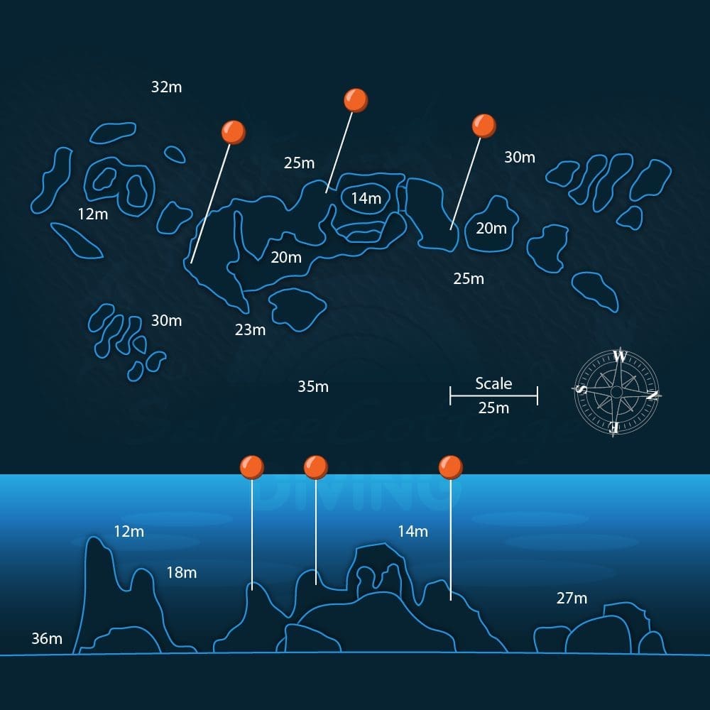 Chumphon Pinnacle Dive Site Diary – One of the best..