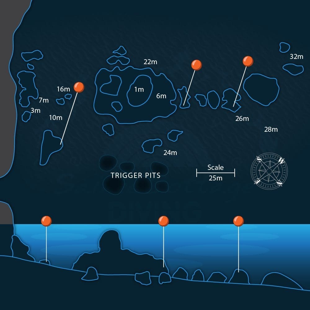 Green Rock Dive Site Diary – A Macro Enthusiasts Dream..