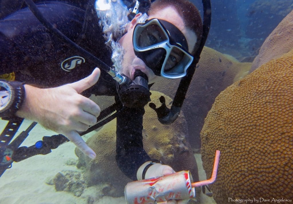 Dive responsibly—move gently, keep your distance, and leave only bubbles. Healthy oceans start with mindful divers.