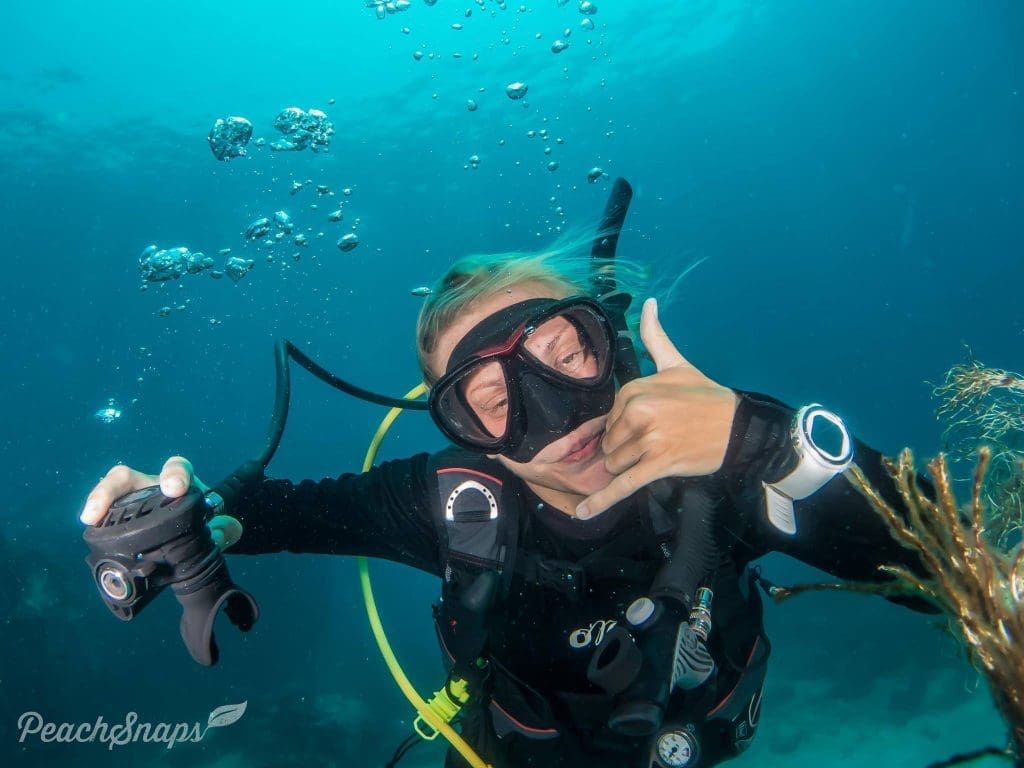 PADI Divemaster Course Koh Tao