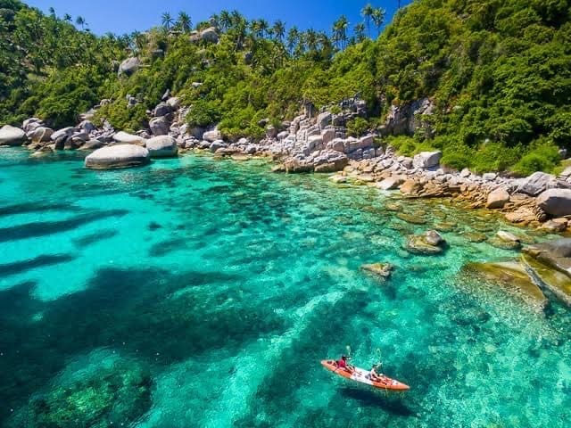 Shark Bay – thriving coral reefs, sea turtles, and a chance to spot reef sharks up close
