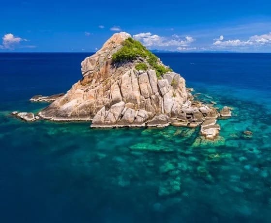Shark Island- explore Shark Island dive site, Koh Tao-a-must-visit destination for scuba divers seeking 
vibrant reefs and tropical fish