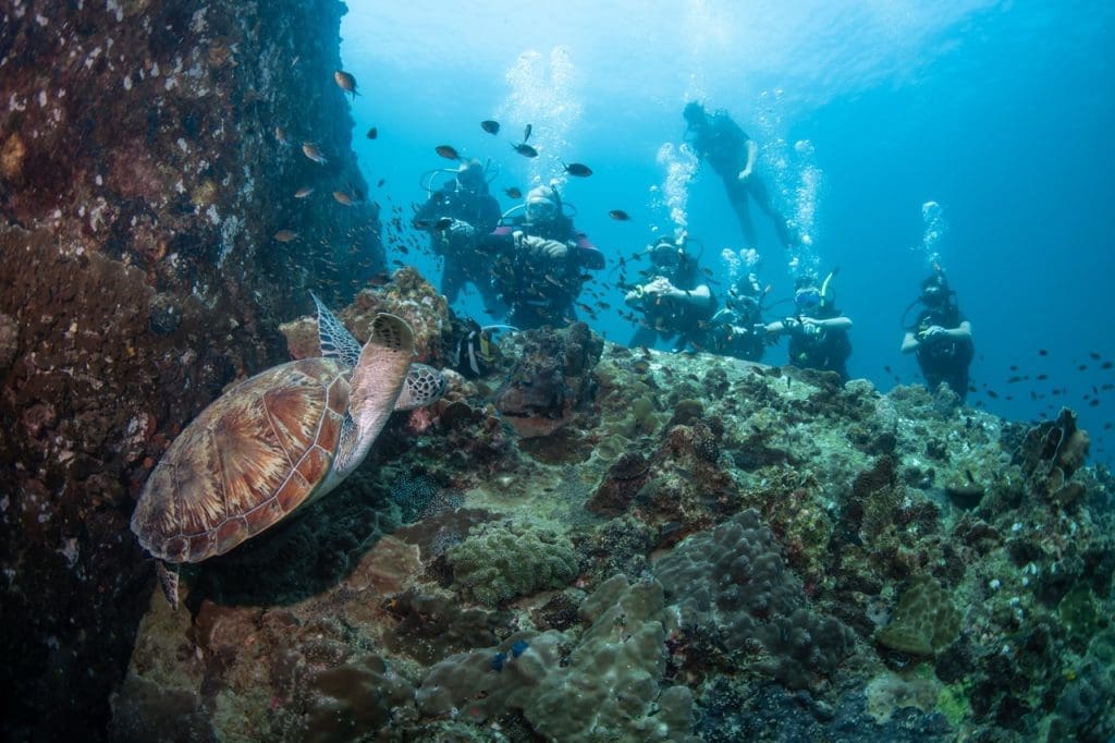 Hin Wong Pinnacle - combines deep blue water, vibrant corals, and school of tropical marine life for an unforgettable diving experience captured by Peachsnaps