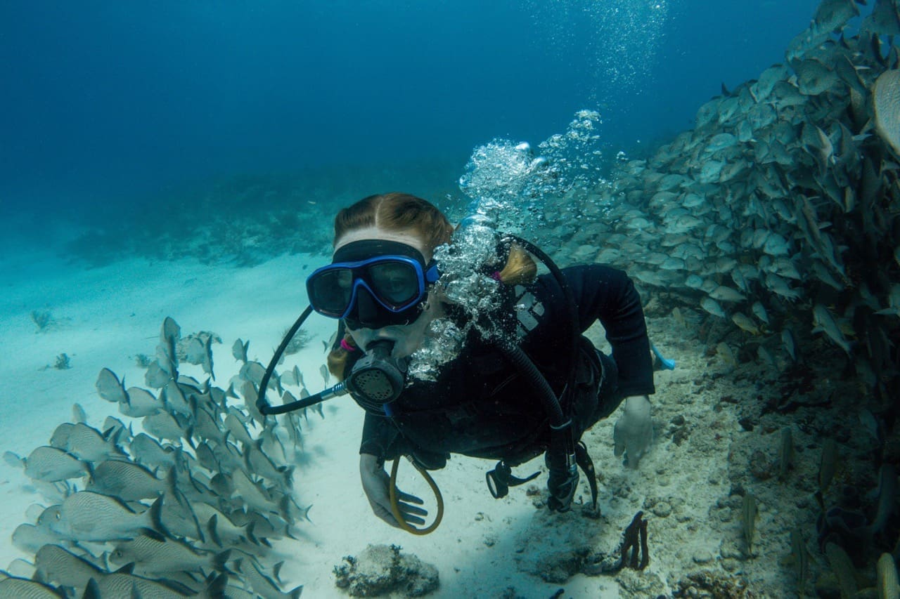 Try Dive Koh Tao – Discover Scuba Diving